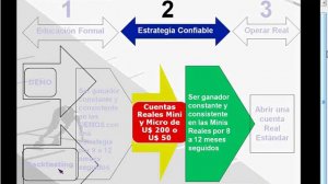 Daniel Arturo Ruiz B.: Las Etapas del Trading en Forex