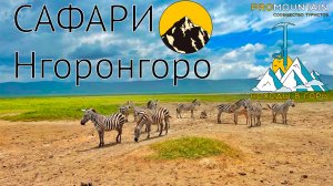 Сафари в Танзании.Кратер Нгоронгоро.
