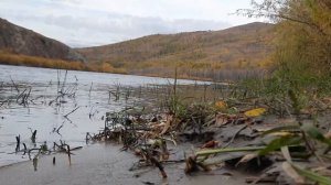 Сухотино -Чита 25.09.2021 г.