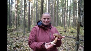 Грибная разведка 20 октября 2023. Всеволожский район.