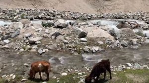 Очень красивая природа! Таджикистан ,Варзоб