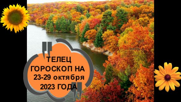 ТЕЛЕЦ ТАРО-ПРОГНОЗ НА НЕДЕЛЮ С 23 ПО 29 ОКТЯБРЯ 2023 ГОДА