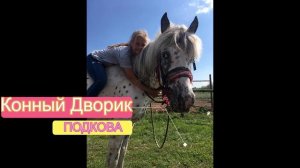 Конный дворик подкова/Equestrian yard horseshoe