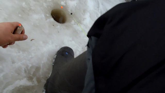 ВОТ ЭТО КОРЮХ!/ Устье р.ВЕЖМА!/ БЕЛОЕ МОРЕ! смотреть онлайн