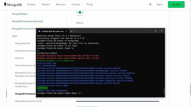 MongoDB Failed error connecting to db server no reachable servers смотреть онлайн