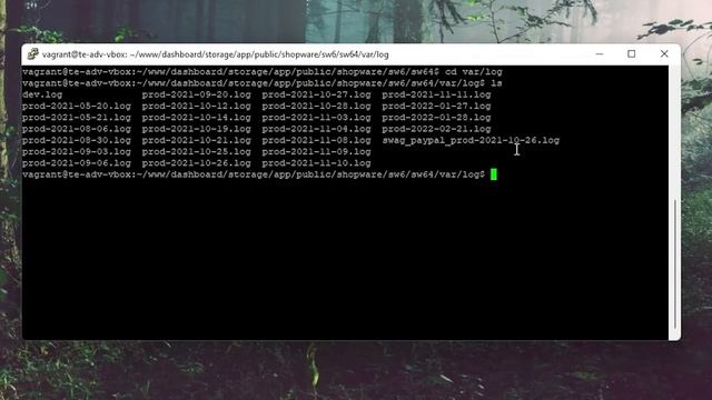 Debug error messages (Shopware 6 Tutorial EN) смотреть онлайн