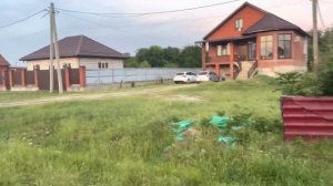 Проблемы вернулись. Опухание горла у овец? В чем проблема