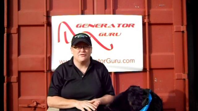 AVR Function and Differences in Portable Generators смотреть онлайн