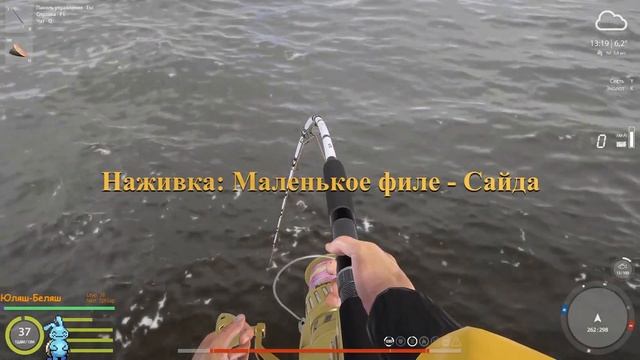 РР4 - Трофейная зубатка пятнистая и сайда - Перспективное место для высиживания мерлузы 03.06.2023 смотреть онлайн