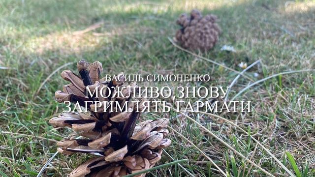 Василь Симоненко «Можливо, знову загримлять гармати»