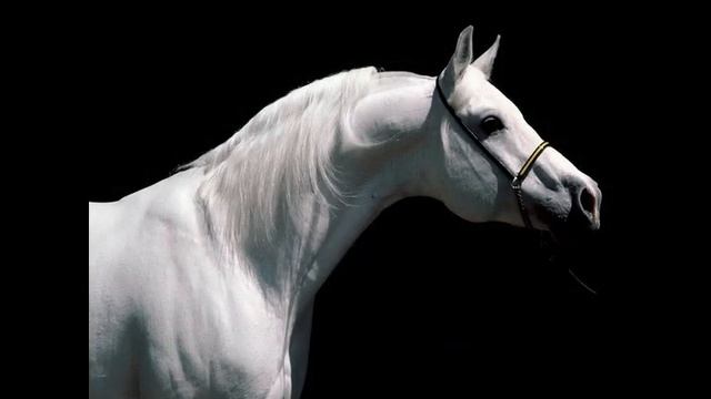 You are beautiful - James blunt смотреть онлайн