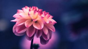 Медитация для зрения. Медитация исцеления зрения