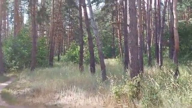 Просьба о молитве за Святогорск . смотреть онлайн