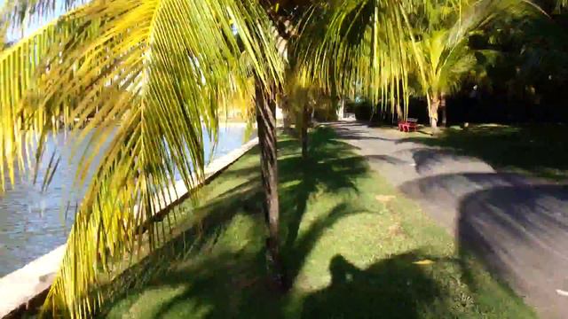 Куба дикарями - Варадеро недалеко от нашей кассы смотреть онлайн