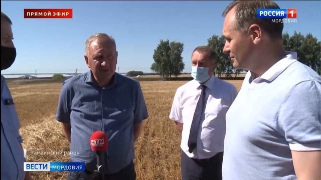 В Мордовии началась уборка зерновых смотреть онлайн