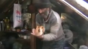 Отшельники - выживание в тайге!