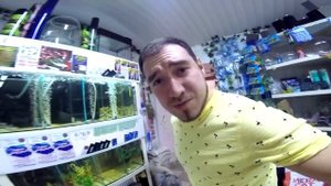 ХАСКИ НАПАЛ В ЗООМАГАЗИНЕ / покупаем щенку новый ошейник