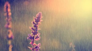 4 часа~Музыка для кофеен, кафе и ресторанов~Bossa Nova Jazz Instrumental