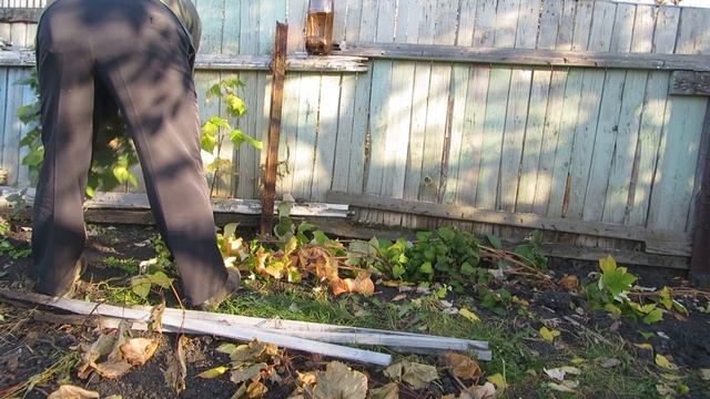 Укрытие красной малины на зиму смотреть онлайн