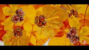 Серікжан Амина - Закружился в парке листопад