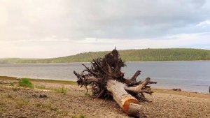 Рыбалка на Широковском водахранилище