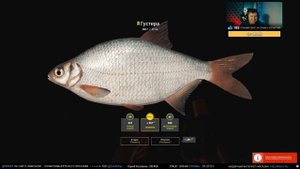 Русская Рыбалка 4 — Стрим на оз. Старый Острог. Турнир для Шаманов