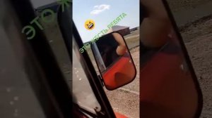 Водитель первого класса