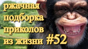 лучшие приколы #52 / смешные видео / нарезка приколов