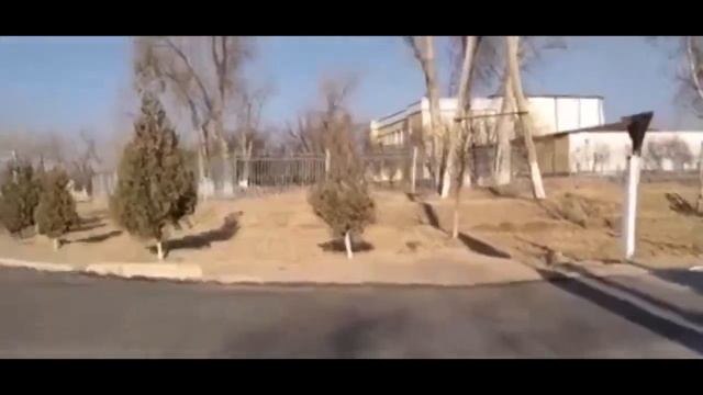Рассказ про Узбекистан. Город Дружба. Дальше будет жарче