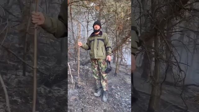 в куппа лес горит смотреть онлайн