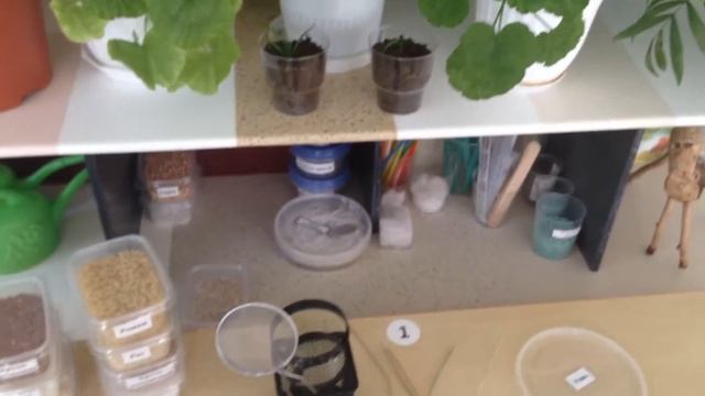 Среда как отражение проектной деятельности смотреть онлайн