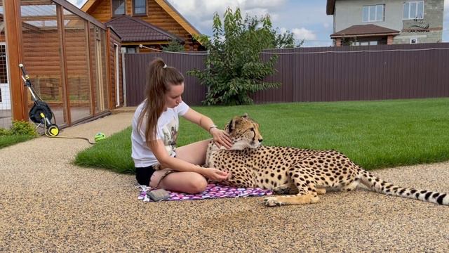 Ловим тёплые деньки с Гердой смотреть онлайн