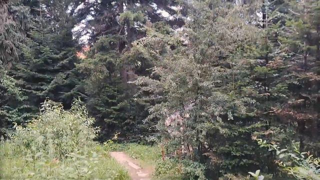 Східниця. Джерела 357 та 15. Парк Пантелеймона Цілителя