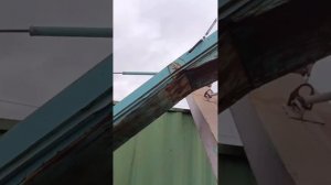 Зернометатель ЗМЭ-60 экспресс-обзор от Виталия Белоглазова