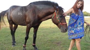 Smart Girl Training Horse Basics in my village