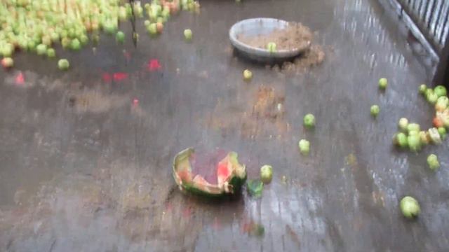 Винни, Пуха и Марьям смотреть онлайн