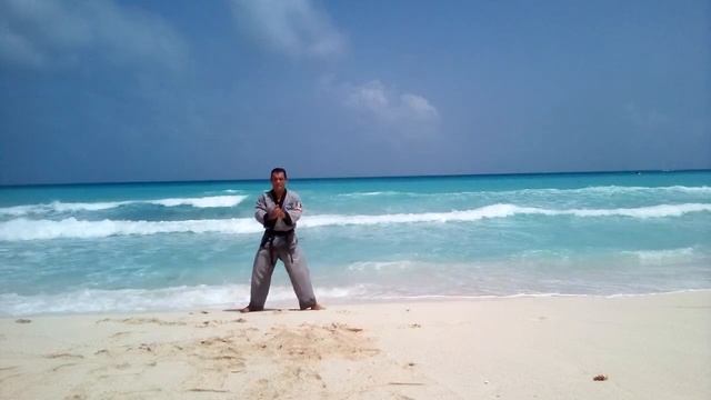 HAPKI IL JANG FORMA 1 DE HAPKIDO смотреть онлайн