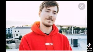 Кто лучше Мистер Бист или А4