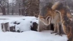 Забирал жену с корпоратива..