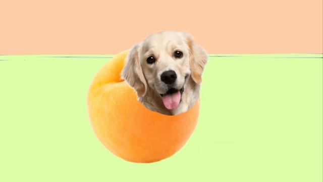 Сова Дрова Зайчик Пальчик Пёс Абрикос Лама Панама смотреть онлайн