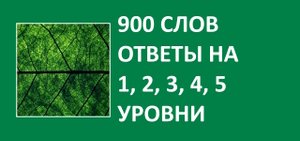 900 слов словесная игра с ответами на 1, 2, 3, 4, 5 уровни