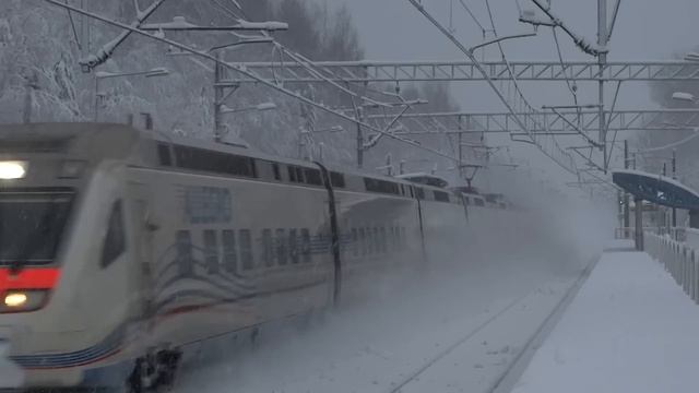 ALLEGRO проход скоростного поезда в сказке зимней 190 Км-ч Платформа Репино АЛЛЕГРО RZD/РЖД смотреть онлайн