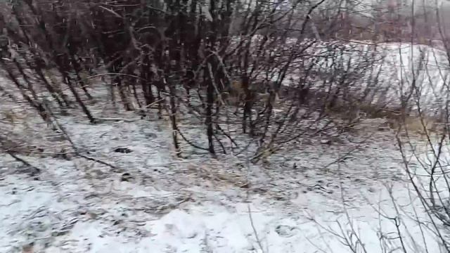 Будни Олега. Вернулся с тайги. Идёт сырой снег. Поход к реке.