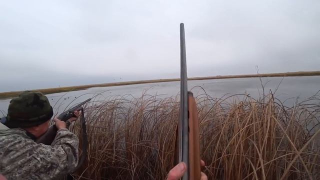 Охота на утку 2020. За 2 дня закрыл сезонную путевку. Duck Hunting. Дикие смотреть онлайн