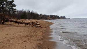 Посёлок Лебяжье