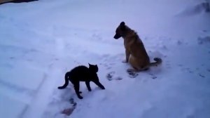 незванный гость хуже татарина