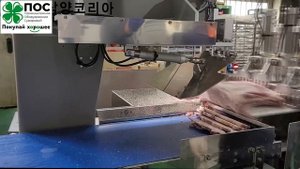 Автоматическая ленточная пила для нарезки мяса или рыбы модель 300, Южная Корея.