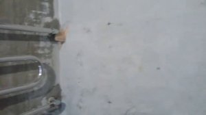 Как развести воду в новой квартире