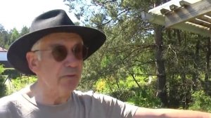 Как правильно поливать голубику