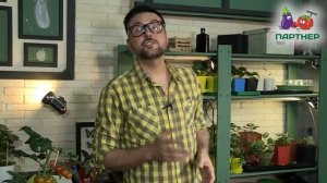 КАК ВЫРАСТИТЬ КАПУСТУ И ПОЛУЧИТЬ РАННИЙ УРОЖАЙ